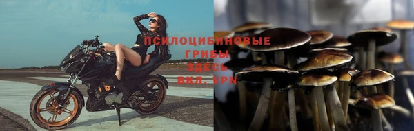 Альфа ПВП Магас
