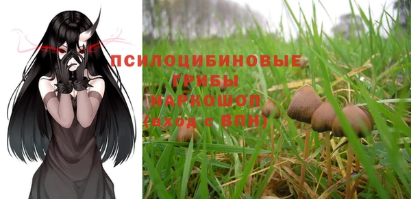 Альфа ПВП Магас