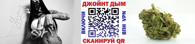 где найти Краснодар Каннабис семена